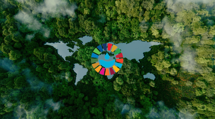 A lake in the shape of the world's continents in the middle of nature, and the SDGs wheel