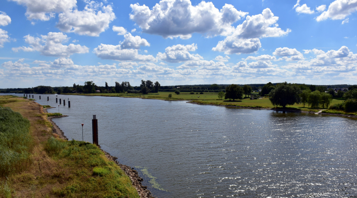Image of a river and the country side in Zwolle. Photo: Ries Bosch / Unsplash