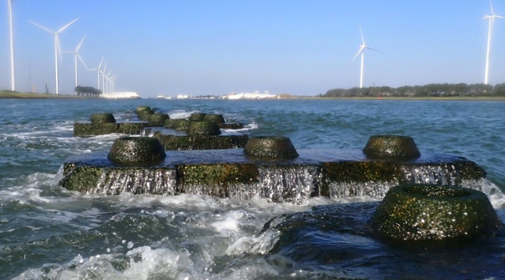 Reef in action with Famous Maeslantkering on the backdrop. Photo: Reefy