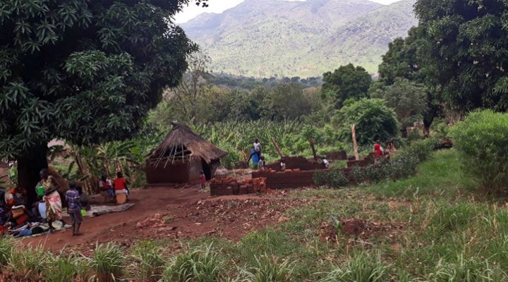 dws-acacia-south-sudan-landscape-770px