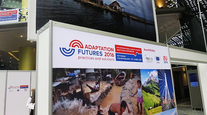 dws-af2016-photo-1a-poster-770px