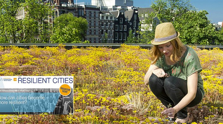 dws-aiww2015-rainproof-poster-770px