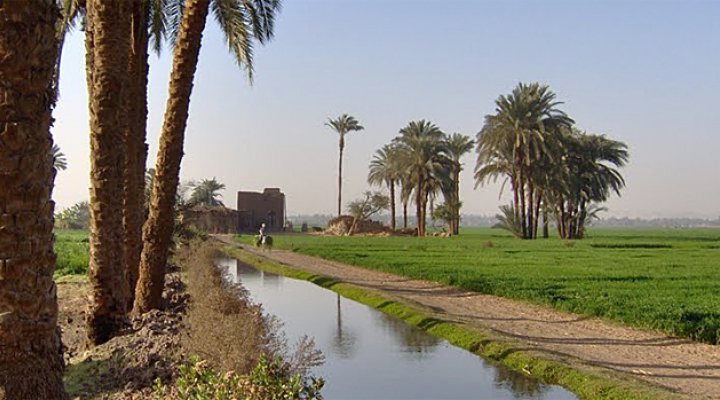 dws-alterra-egypt-assuit-agri-770px