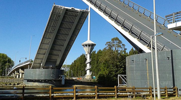 dws-anea-bridge-cau-cau-770px