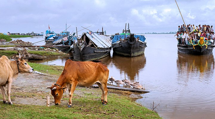 dws-antea-world-bank-india-770px