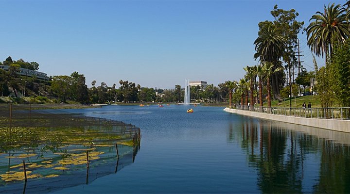 dws-arcadis-echo-park-lake-las-view-770px-1