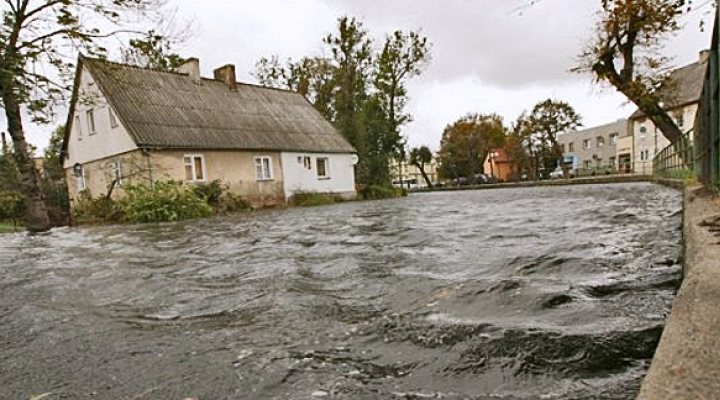 dws-arcadis-tuga-nowy-dwor-gdanski-2009-650px--1