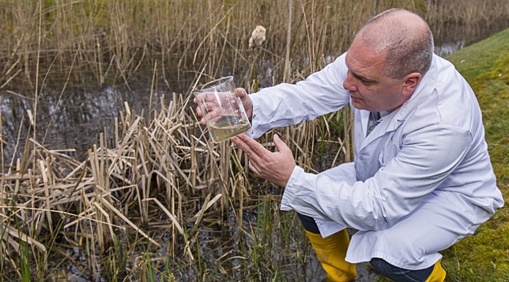 dws-benten-bison-monitoring-gaag-770px