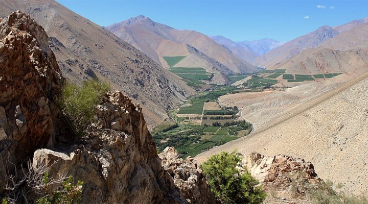 dws-coastar-rio-elqui-770px