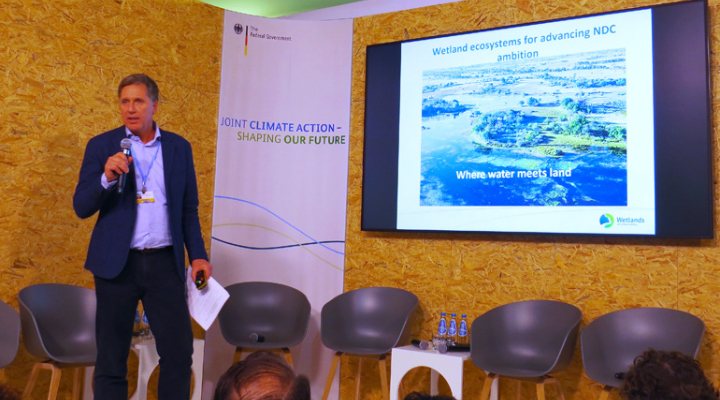 dws-cop24-wetlands-neher-770px