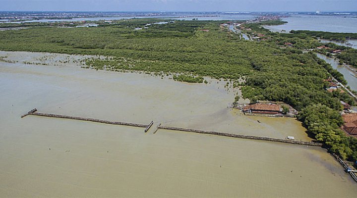 dws-deltares-demak-coast-aerial2-770px