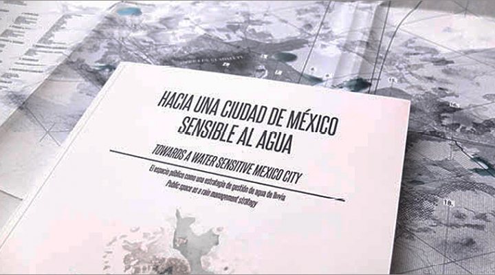dws-deltares-mexico-strategy-document-770px