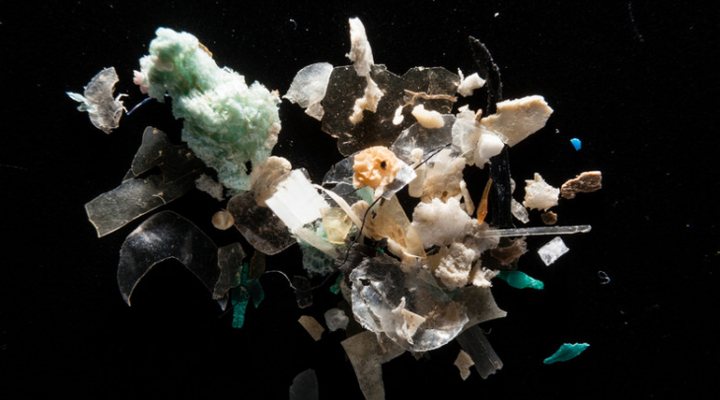 dws-deltares-mictroplastics-770px