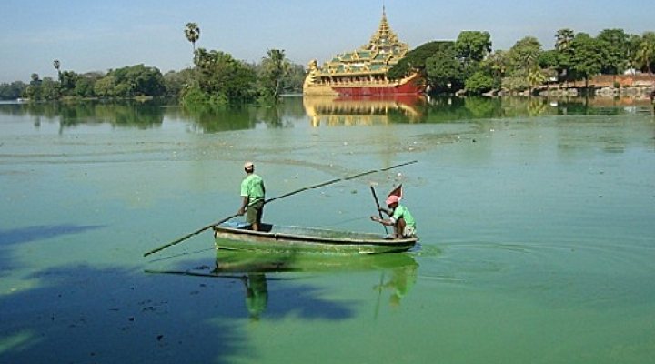 dws-deltares-study-myanar-alghea-bloom-600px--1