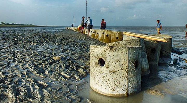 dws-ecobas-oyster-reef-bangladesh-coast-720px