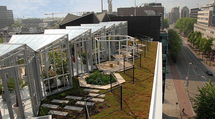 dws-eu-atlas-amsterdam-dakdoktors-terras-770px