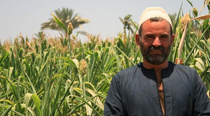 dws-euroconsult-egypte-nexus-farmer-770px