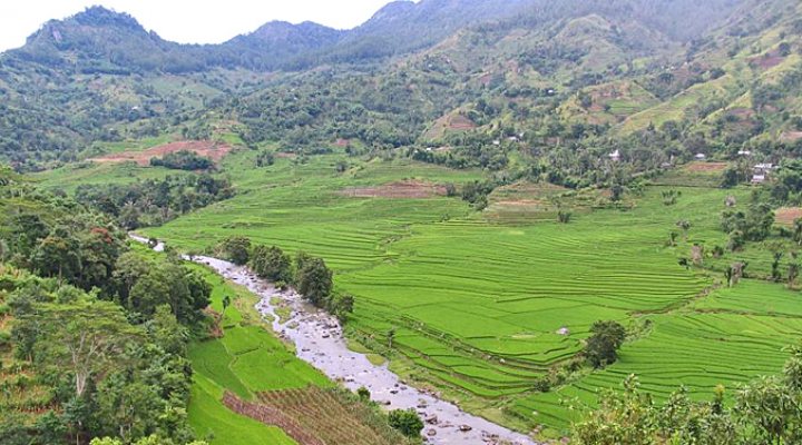 dws-euroconsult-mca-grant-landscape-770px