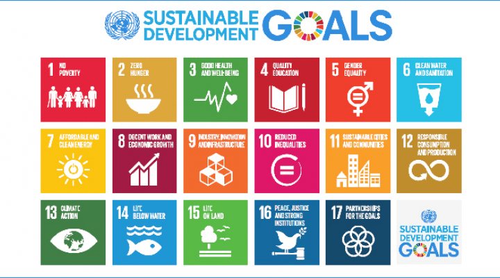 dws-events-unga-sdg-logos-770px-1