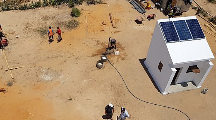 dws-ewm-efoetsy-water-plant-700px