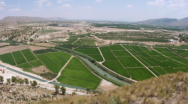 dws-future-water-segura-vega-alta-770px-1