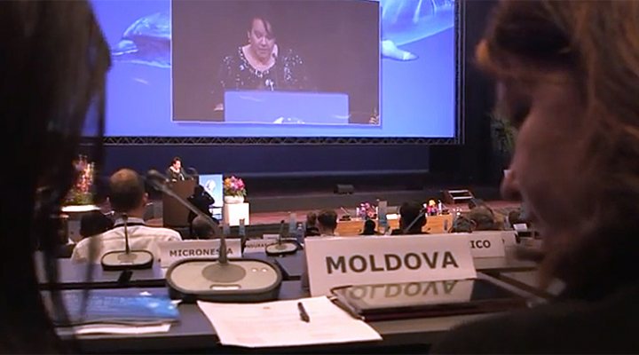 dws-goas-dijksma-opening-770px