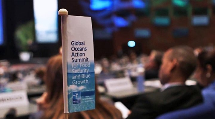 dws-goas-summit-flag-770px