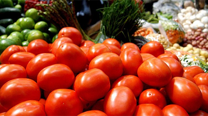 dws-hortimax-agr-cola-oliveros-tomatoes2-770px