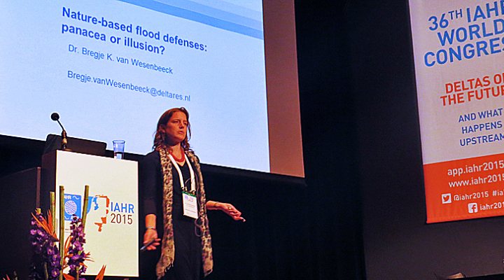 dws-iahr2015-wesenbeeck-title2-770px