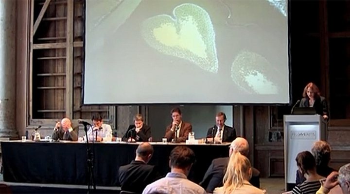 dws-icomos-conference-panel-770px-1