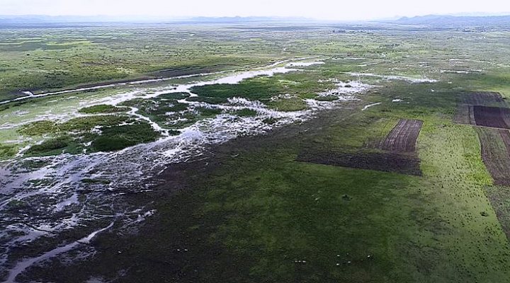dws-ihe-wetlands-tanzania-aerial-750pxjpg-1