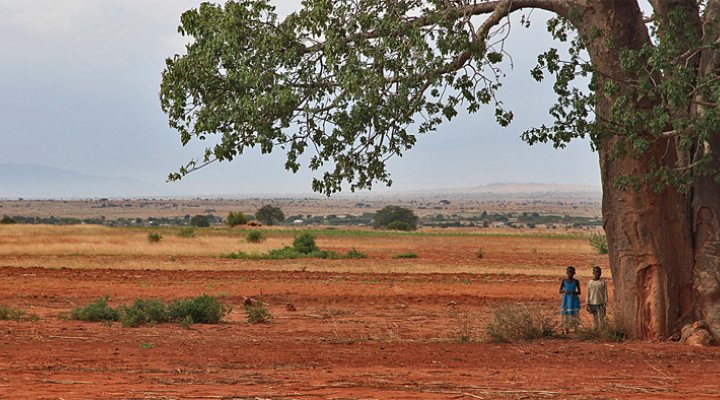 dws-justdiggit-tanzania-baobab-tree-770px