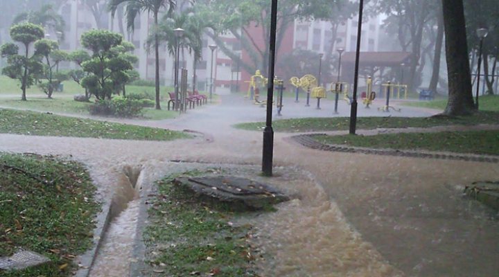 dws-kwr-pub-boon-lay-2011-770px-1