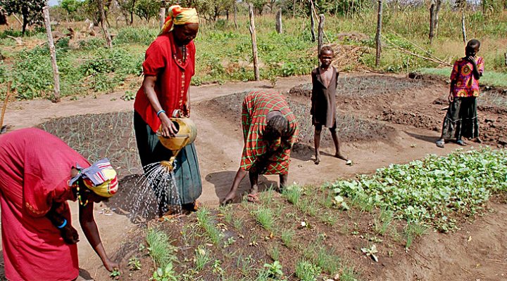 dws-mottmacdonald-south-sudan-lakes-water-plan-770px