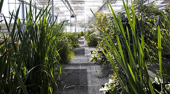 dws-nijhuis-botanical-garden-770px