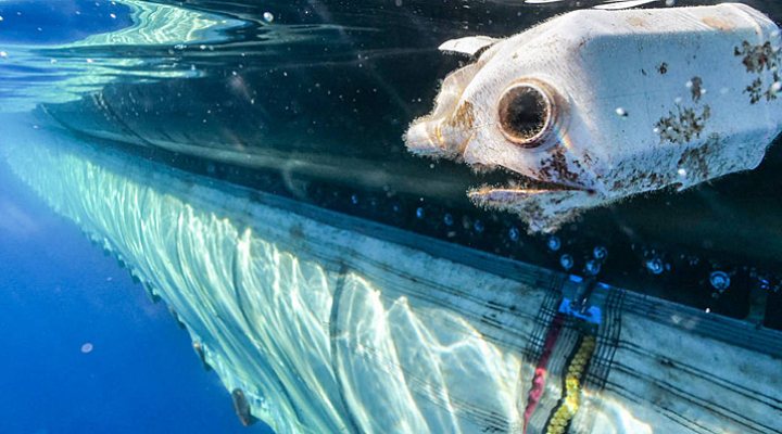 dws-ocean-clean-up-garbage-770px