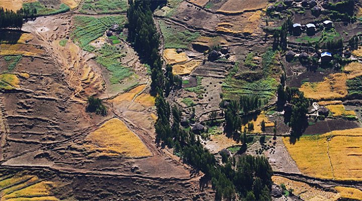 dws-rabobank-csdff-tool-farmland-770px-1