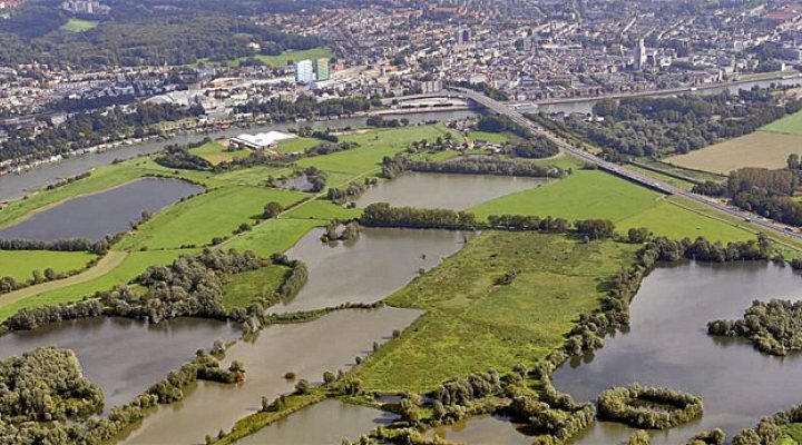 dws-rftr-meinerswijk-770px-1