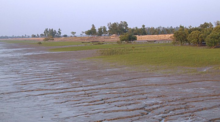 dws - rhdhv oysters bangladesh coast 525px