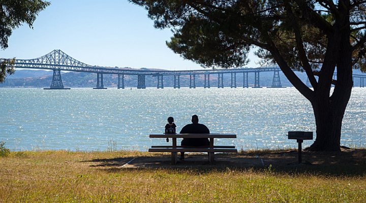 dws-sf-bay-10-teams-bridge-park-770px