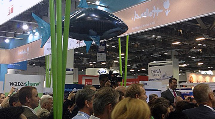 dws-siww-hwc-fish-770px