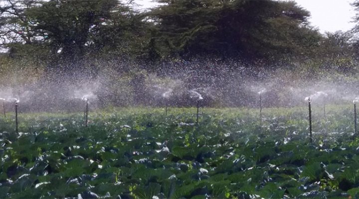 dws-snv-smart-agri-irrigation-770px