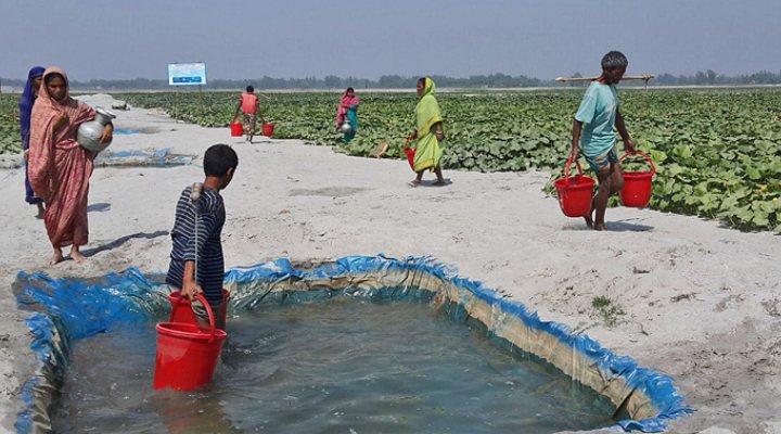 dws-swf4-practical-action1-770px