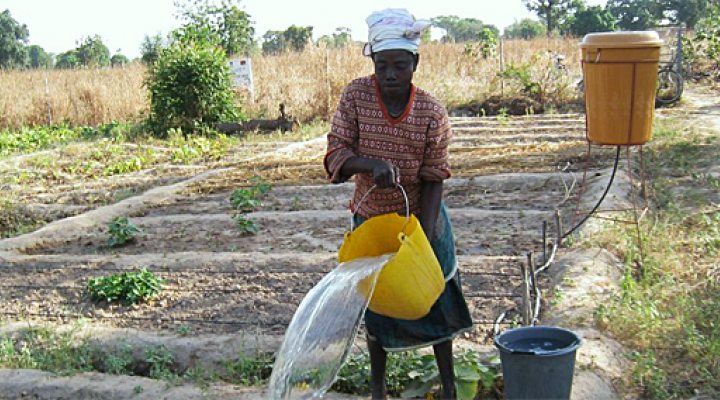 dws-sww2014-unesco-drip-irrigation2-770px