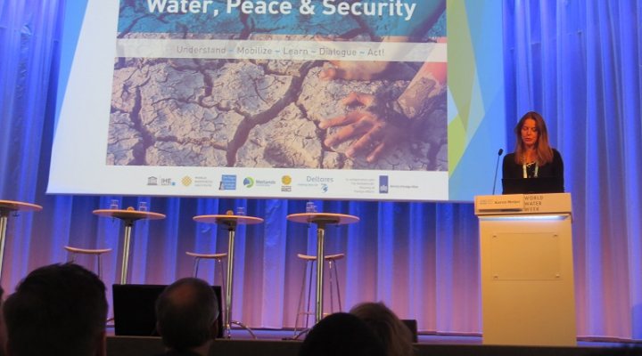 dws-swww-security-meijer-770px