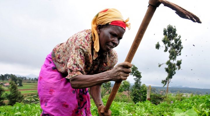 dws-unesco-fao-more-crop-per-drop-farmer-770px