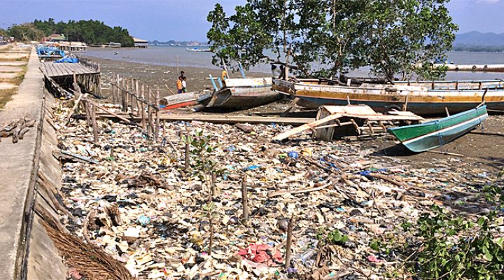 dws-unesco-ihe-mangroves-kendari-bay-770px