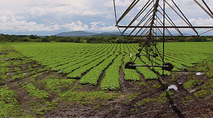 dws-unesco-ihe-mara-river-basin-irrigation-770px-1
