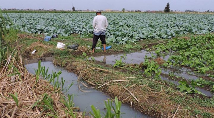 dws-unesco-ihe-nile-water-lab-salam-canal-770px