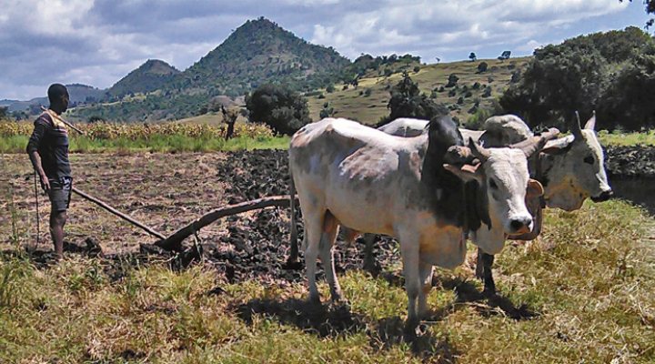 dws-ut-eensat-farmer-770px-1